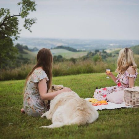 Blizej Nieba Bed & Breakfast Skrzydlna ภายนอก รูปภาพ