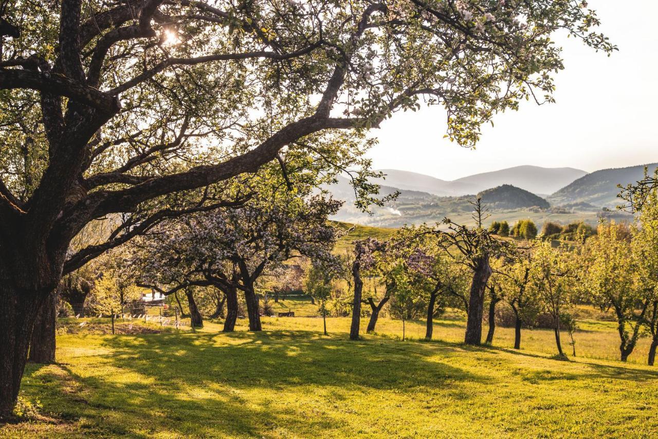 Blizej Nieba Bed & Breakfast Skrzydlna ภายนอก รูปภาพ