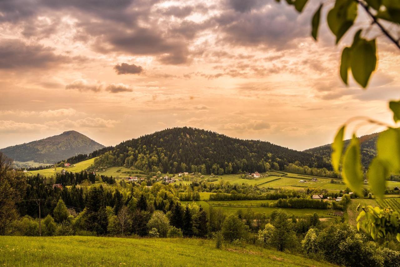 Blizej Nieba Bed & Breakfast Skrzydlna ภายนอก รูปภาพ