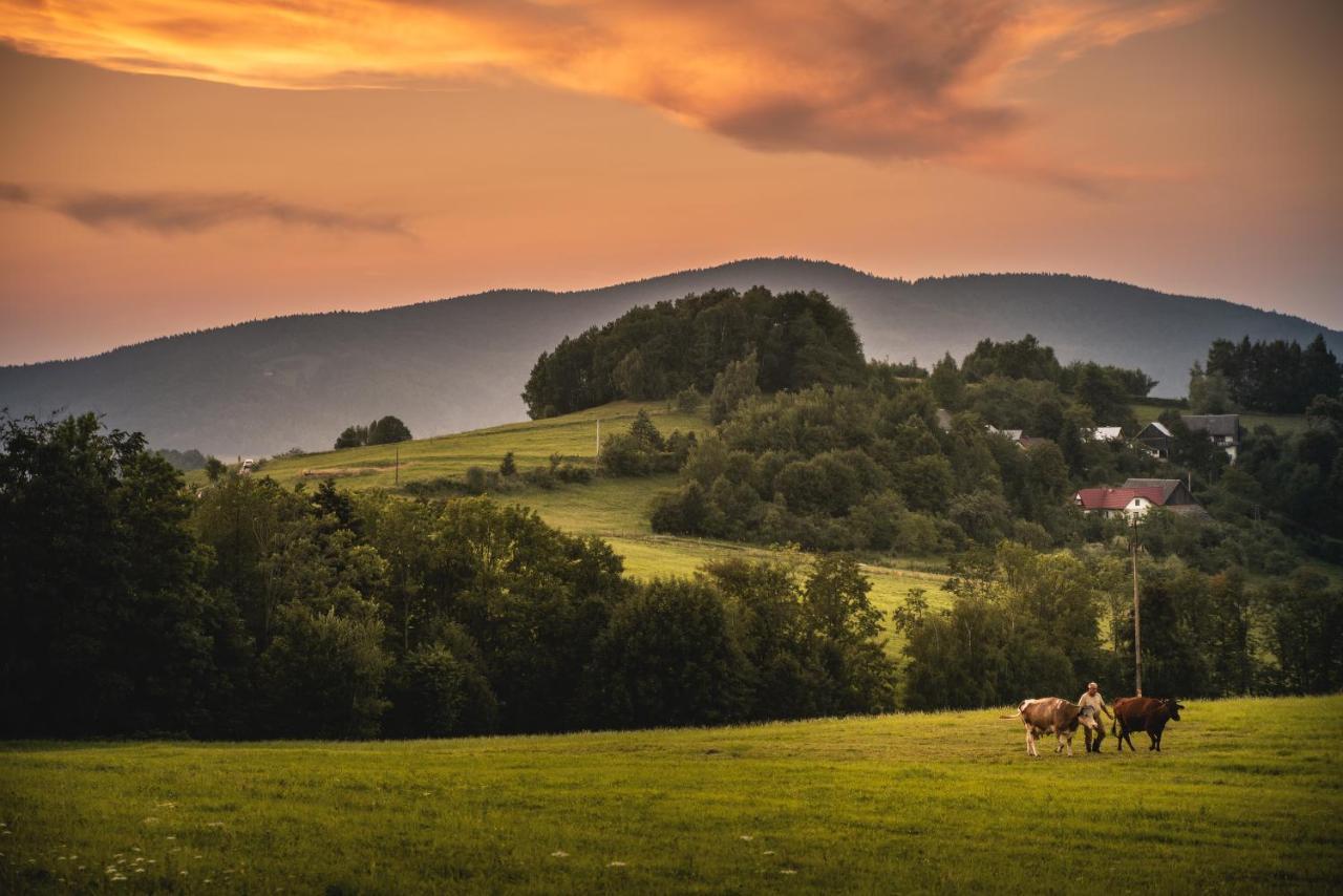 Blizej Nieba Bed & Breakfast Skrzydlna ภายนอก รูปภาพ