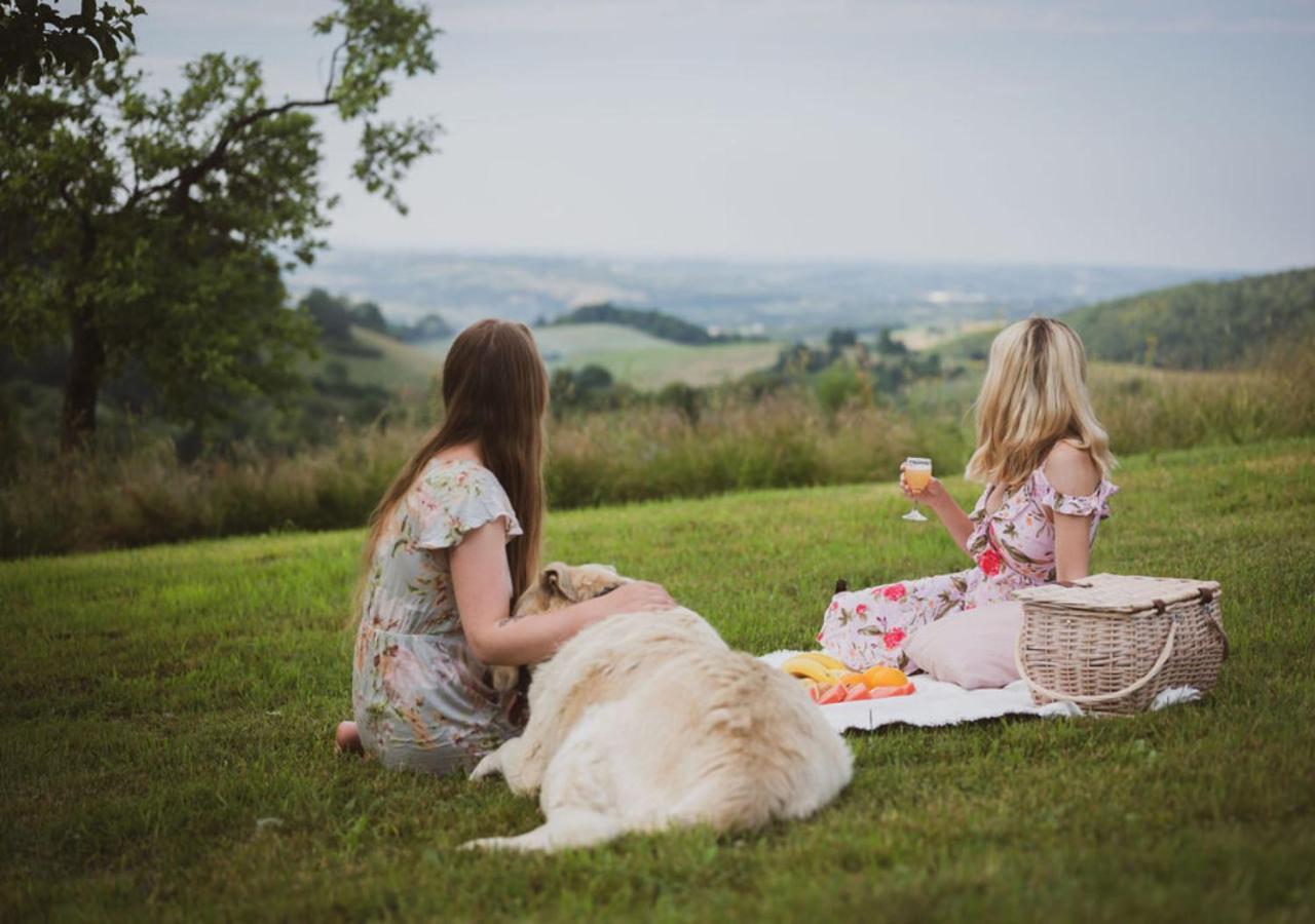 Blizej Nieba Bed & Breakfast Skrzydlna ภายนอก รูปภาพ